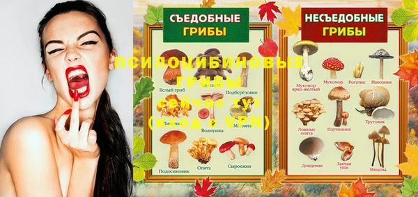 молекула духа Армянск