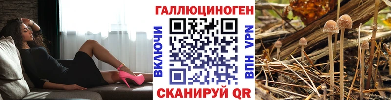 Псилоцибиновые грибы Cubensis  ссылка на мегу как зайти  Сим 